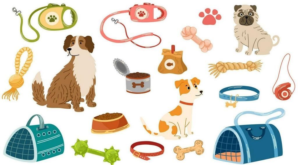 Modne akcesoria spacerowe – stylowe propozycje dla psów w 2025 roku